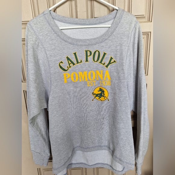 Cal Poly Pomona Gray Sweatshirt SzL Long Sleeves - Picture 1 of 8
